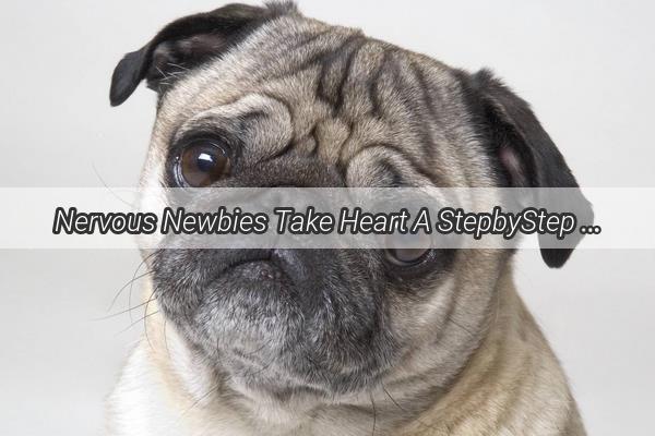 Nervous Newbies Take Heart A StepbyStep Guide to Giving Shots to Your Big Buddy